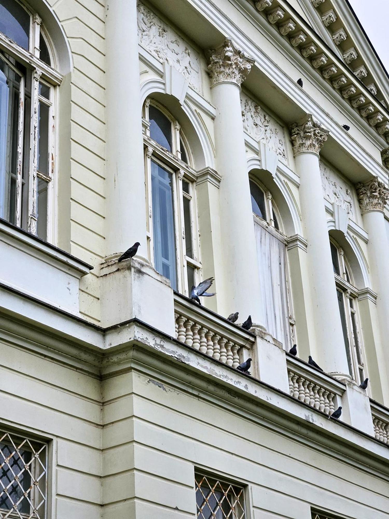 Roman Apartman Sremska Mitrovica Exterior foto